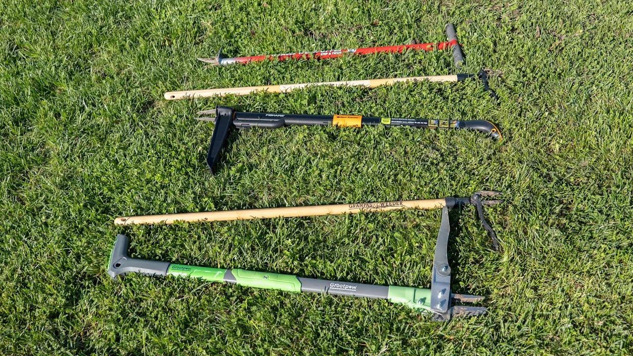 Mehrere Unkrautstecher im Vergleich auf Rasen ausgelegt für chemiefreie Gartenpflege und Unkrautentfernung.